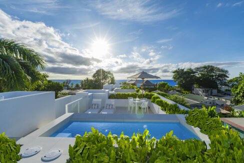 Unit #2 Palm Groove luxury villa on the West Coast of Barbados