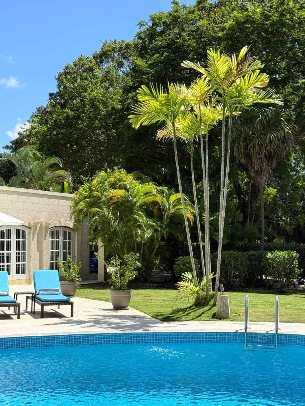 Franklins-House - new MG - (25)