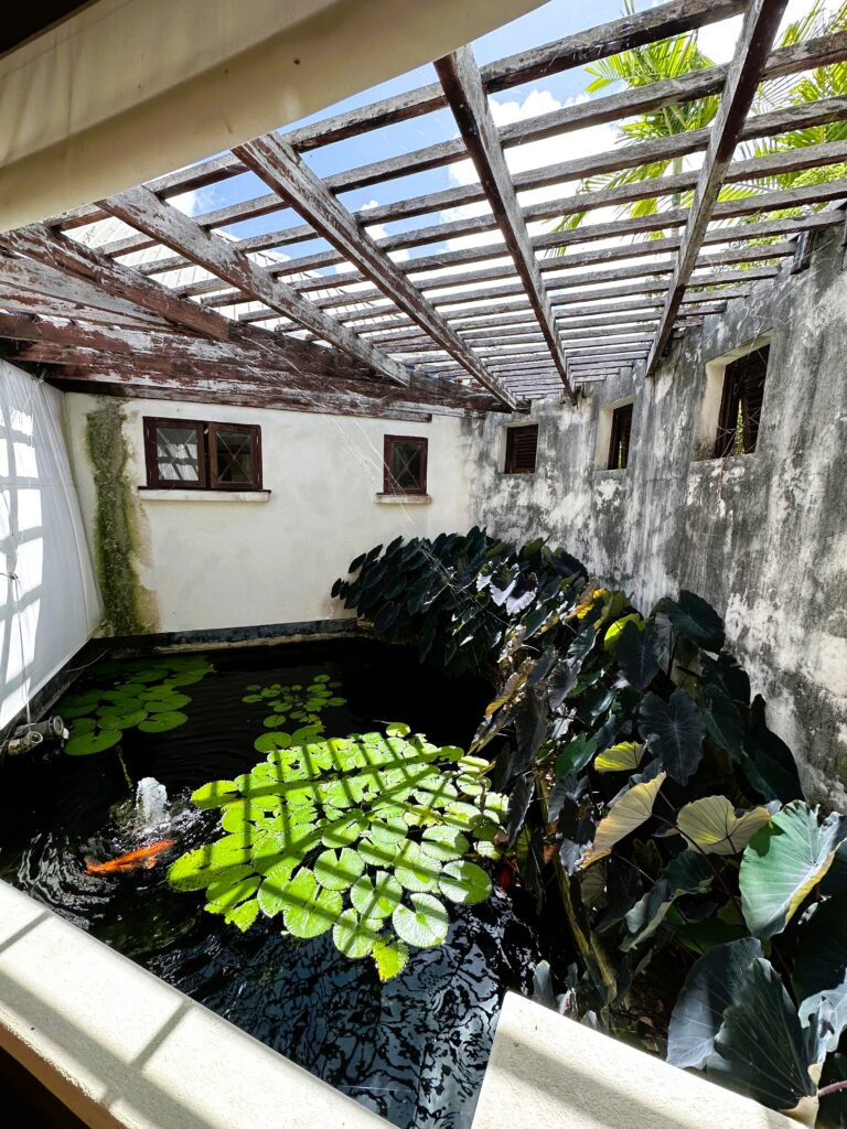 Wild Cane Ridge 4 - (15)