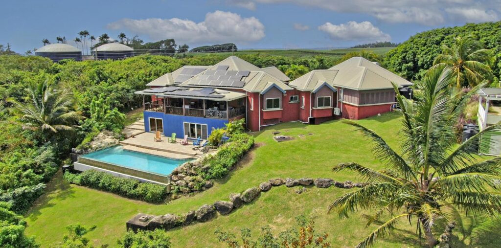 Wild Cane Ridge 4 - (30)