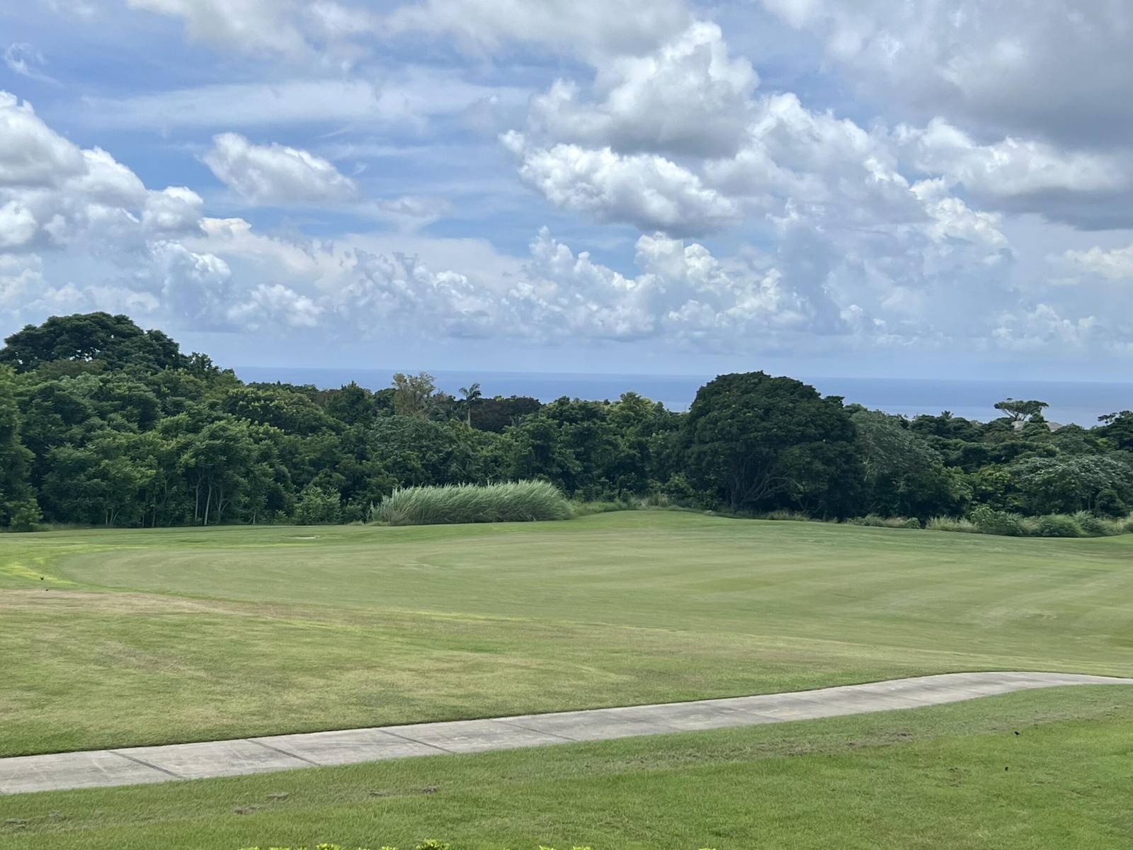 Garden Wall 15 - MG - (16)