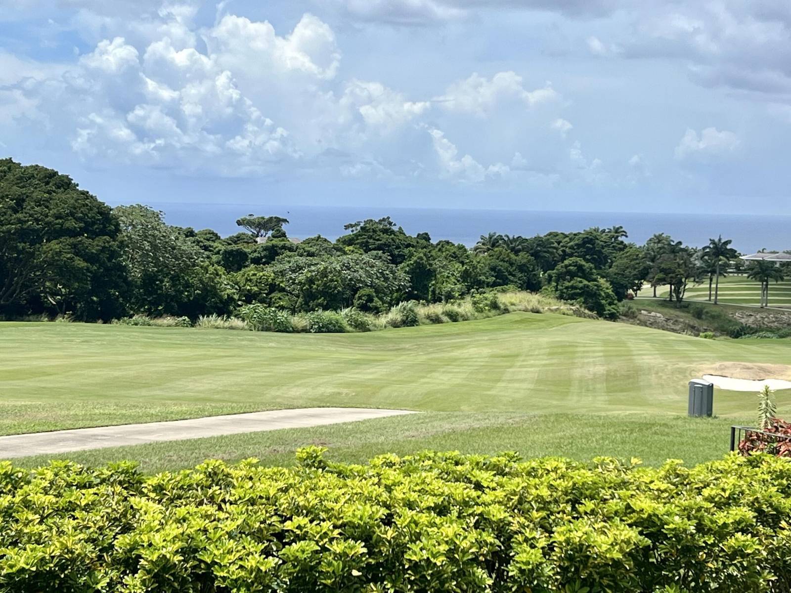 Garden Wall 15 - MG - (17)