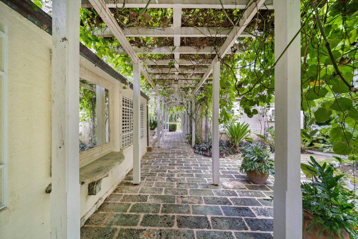 Heronetta - MG rental - (18)