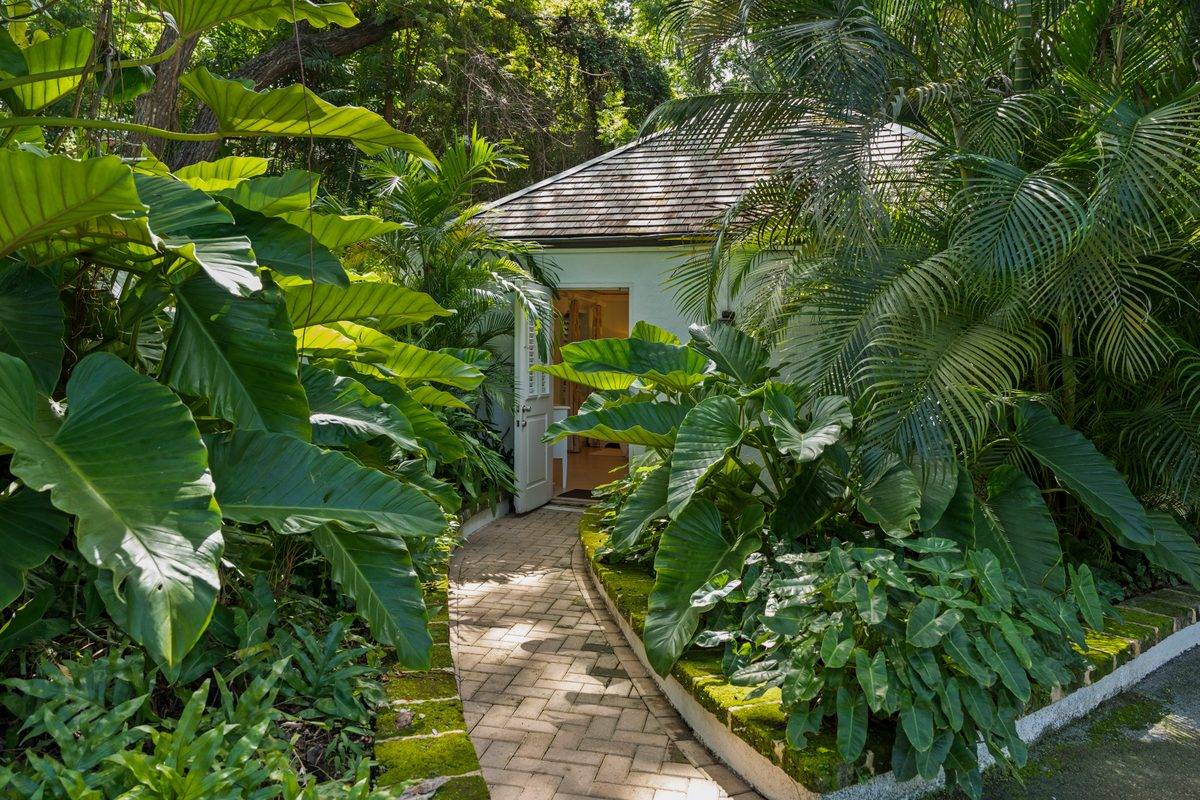 Heronetta - MG rental - (33)