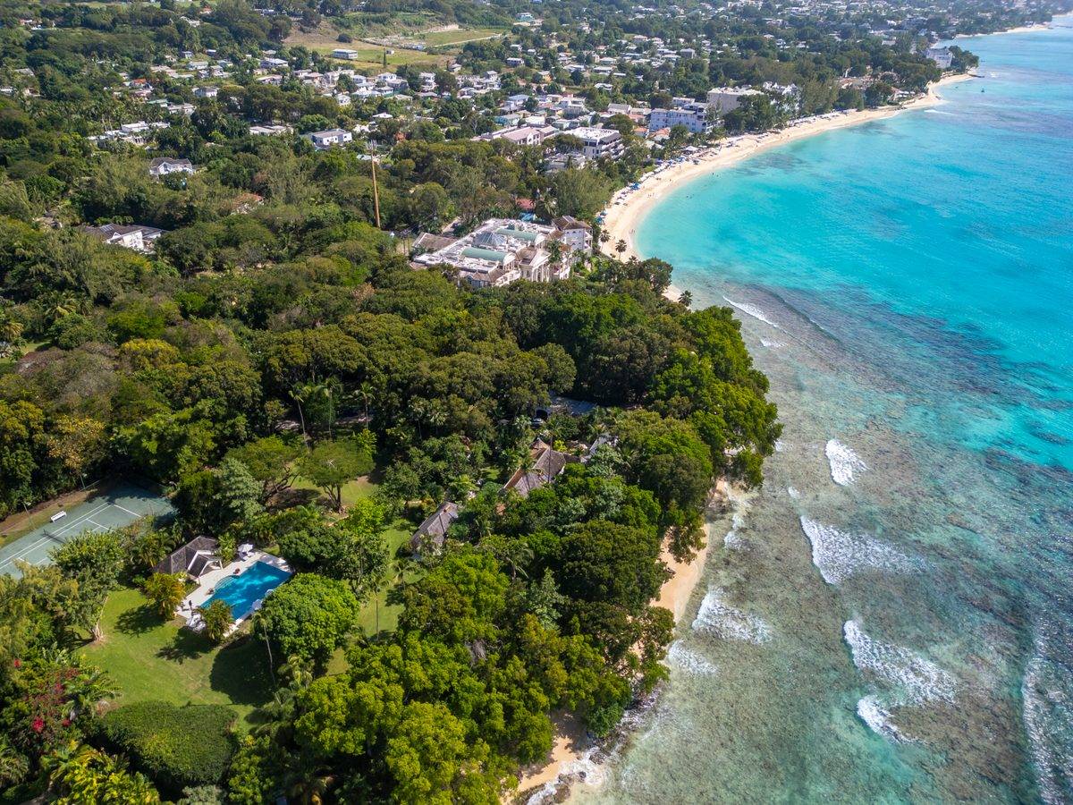 Heronetta - MG rental - (4)