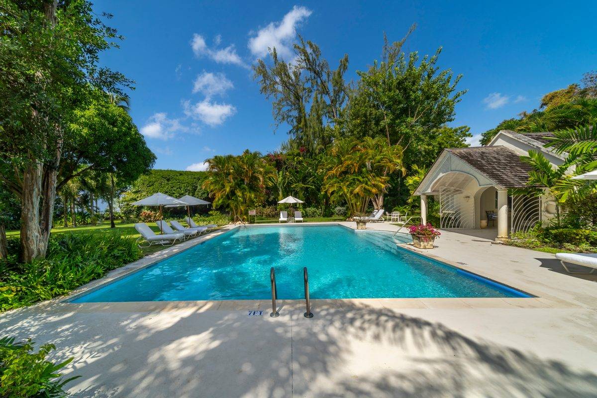 Heronetta - MG rental - (40)