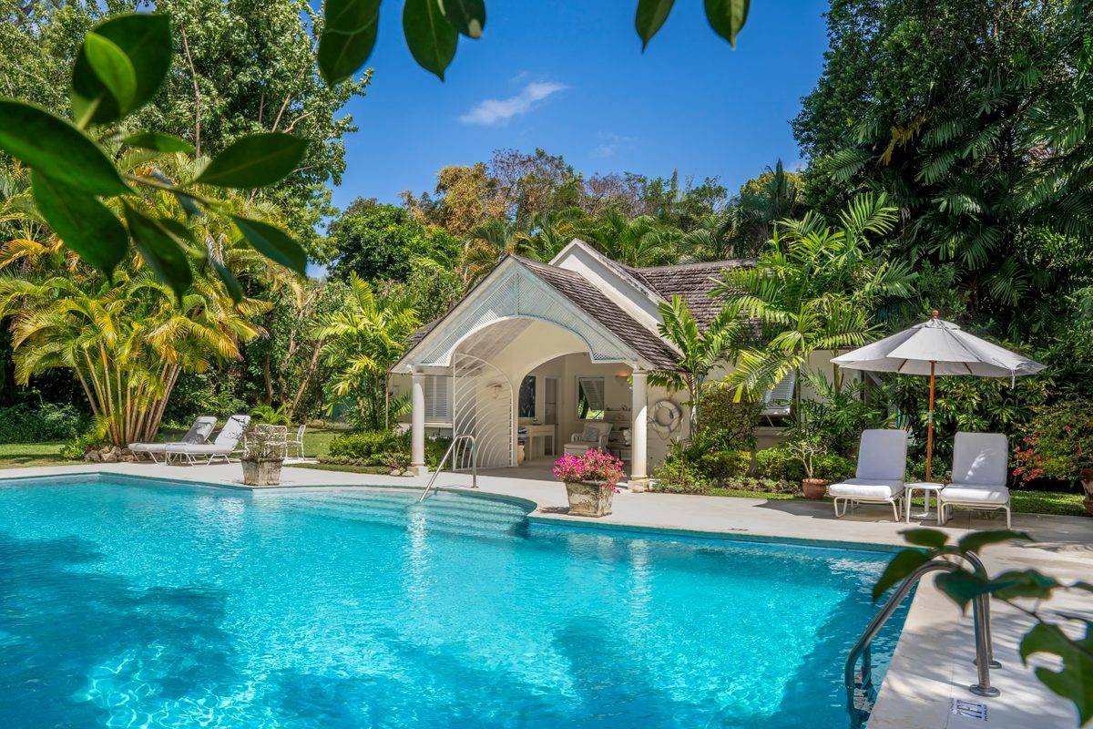 Heronetta - MG rental - (41)