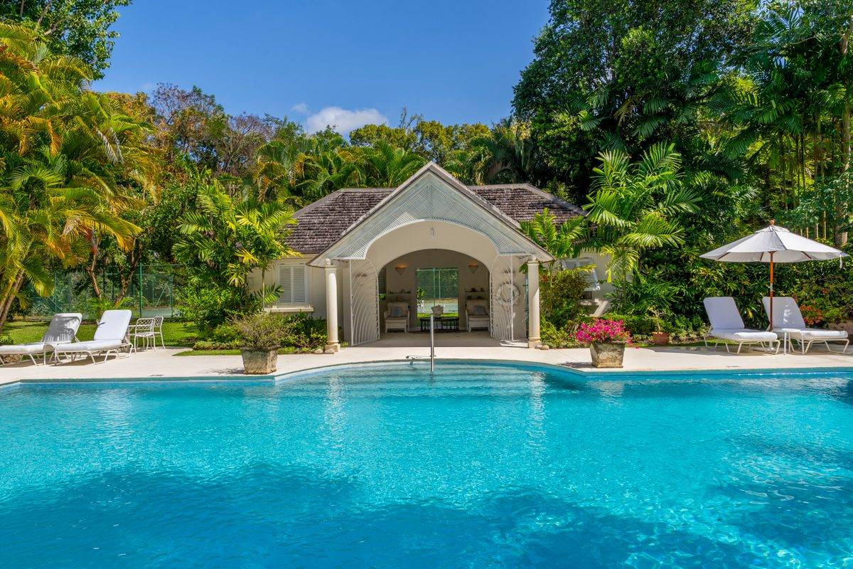 Heronetta - MG rental - (42)