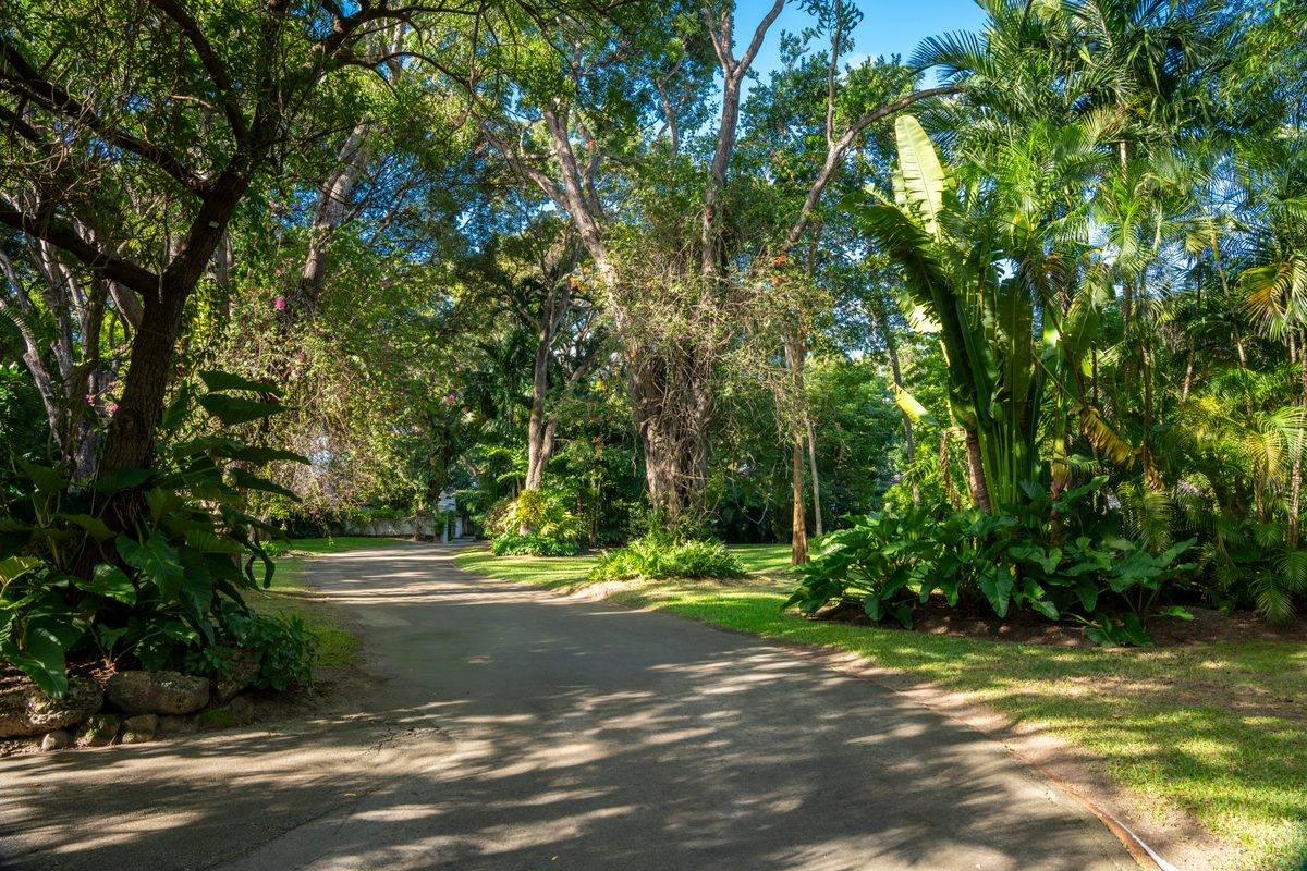 Heronetta - MG rental - (45)