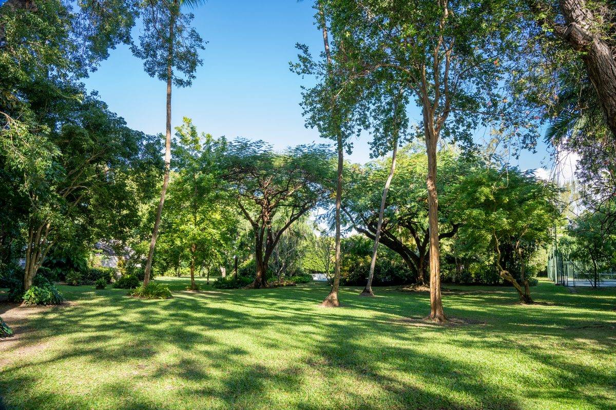 Heronetta - MG rental - (46)