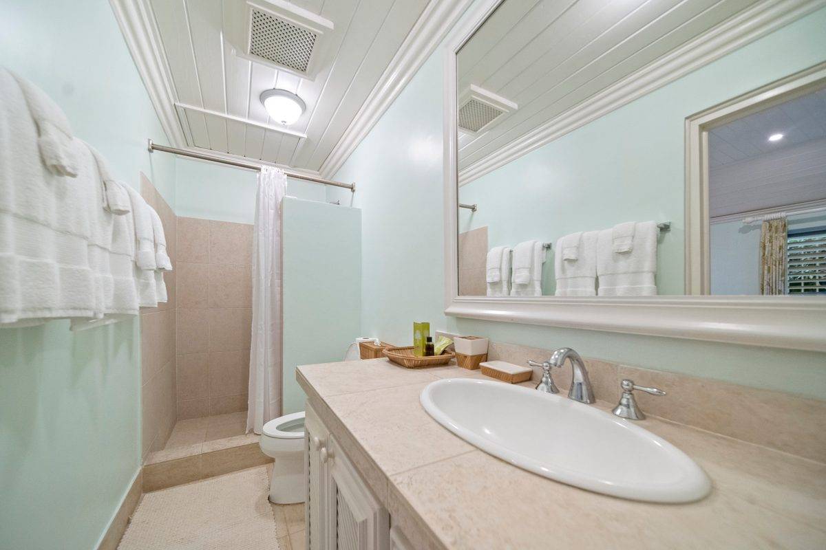 Heronetta - MG rental - (5)