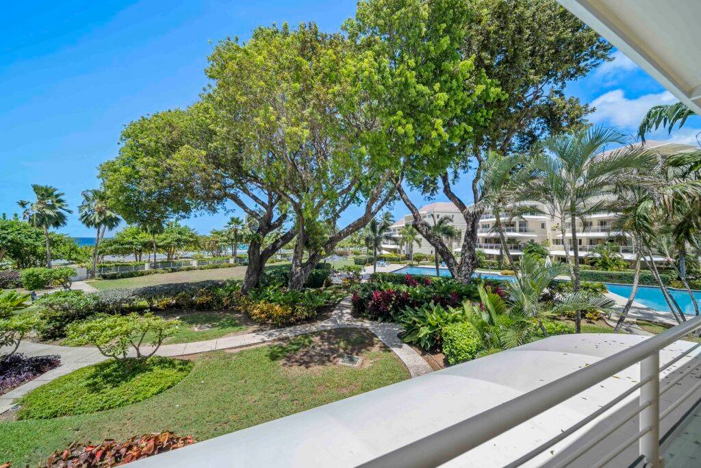 Palm Beach 204 - MG STR - (11)