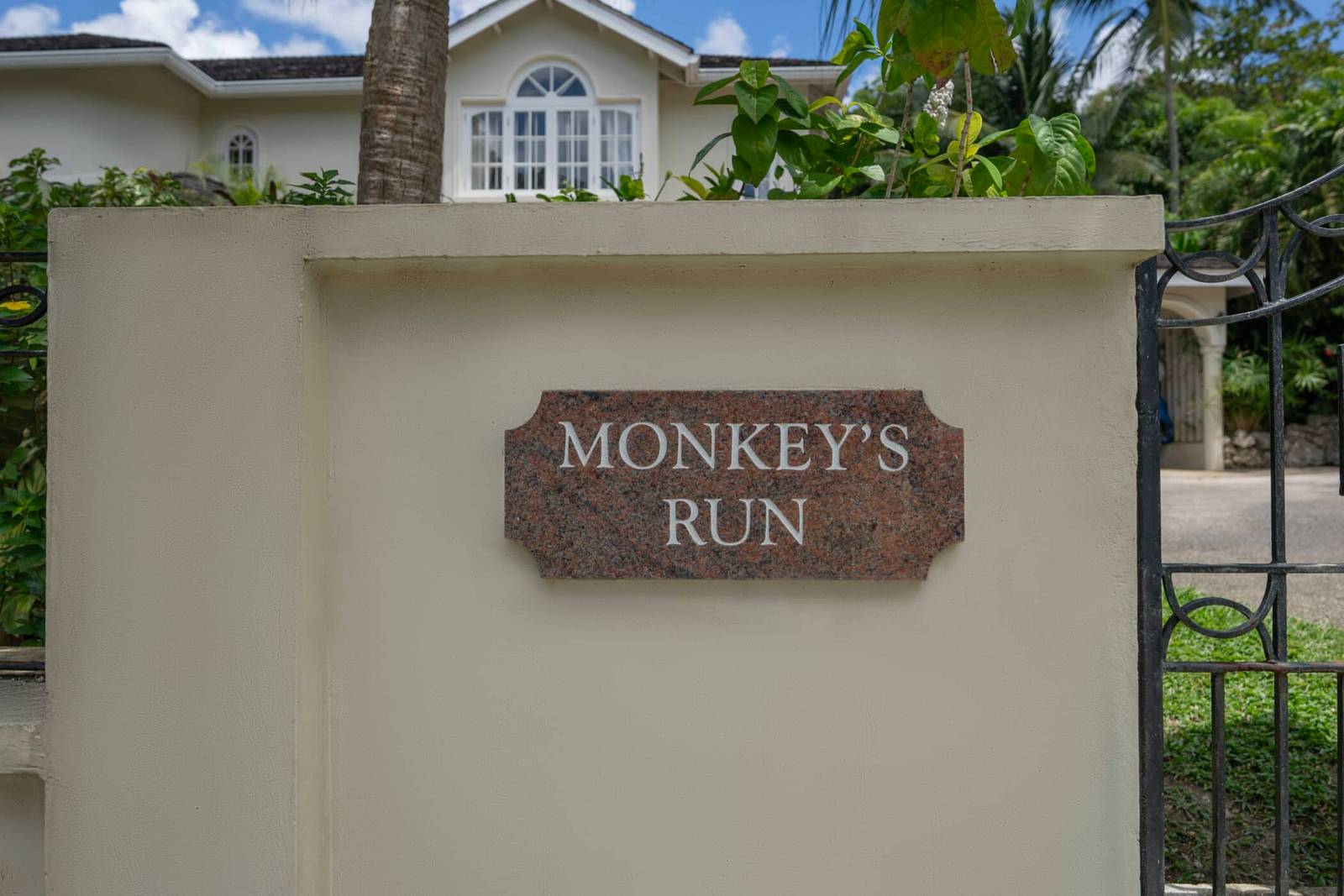 Monkeys Run
