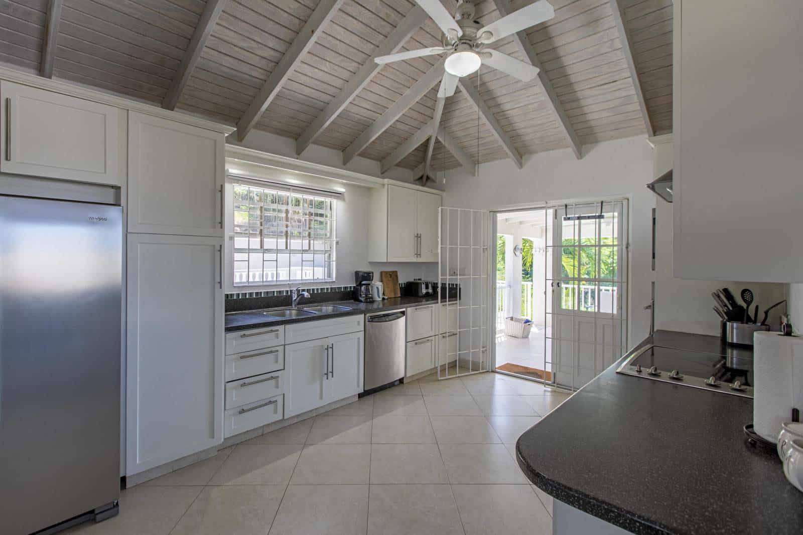 Villa Nevis