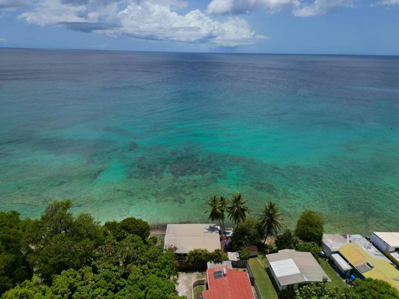 Annabelles MG (15)