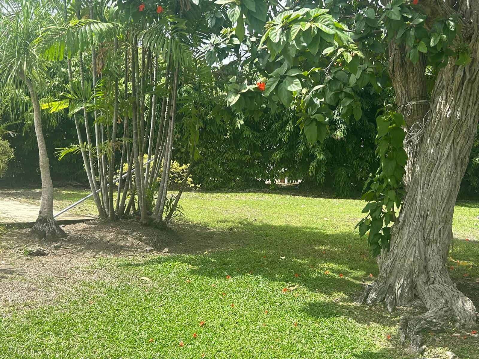 Sunset Crest, Mayhoe Avenue 212 - (20)