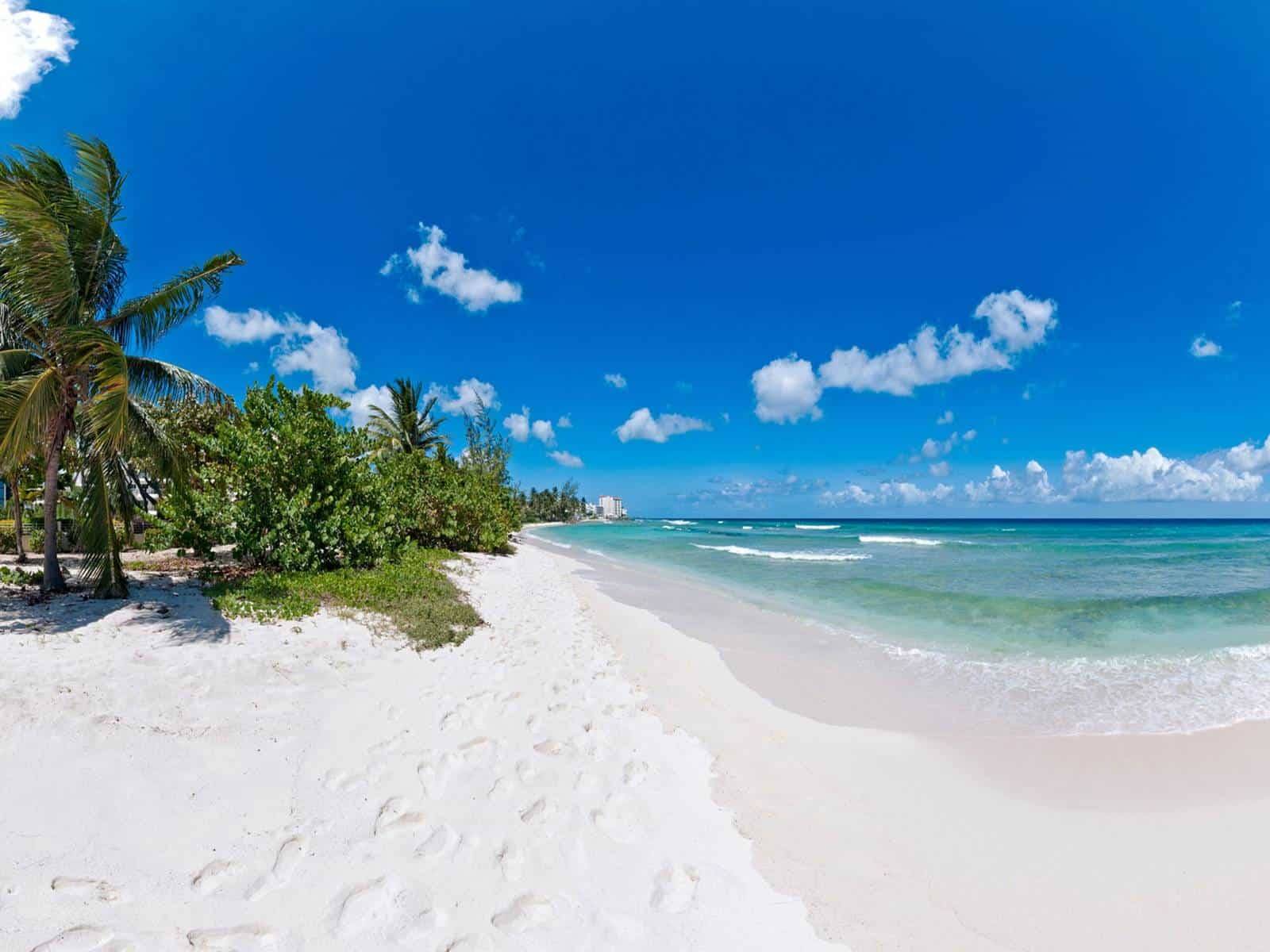 Palm Beach 206