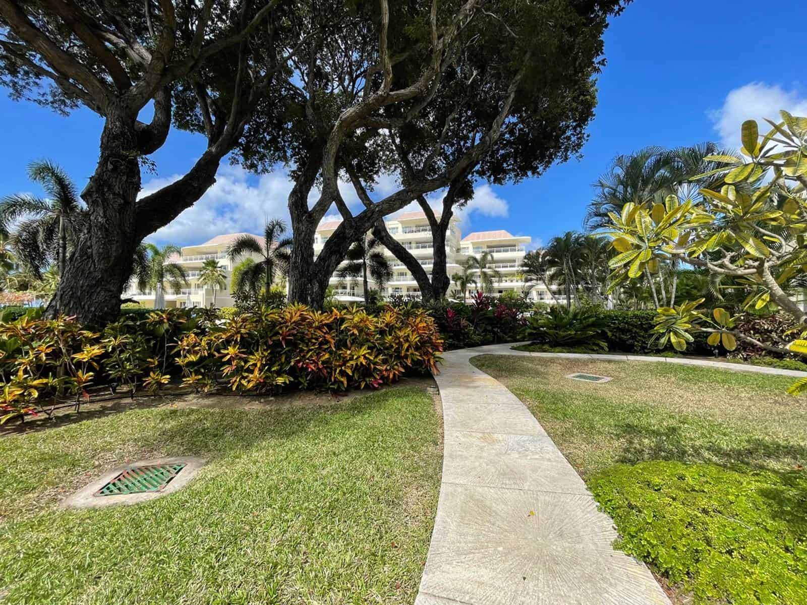 Palm Beach 206