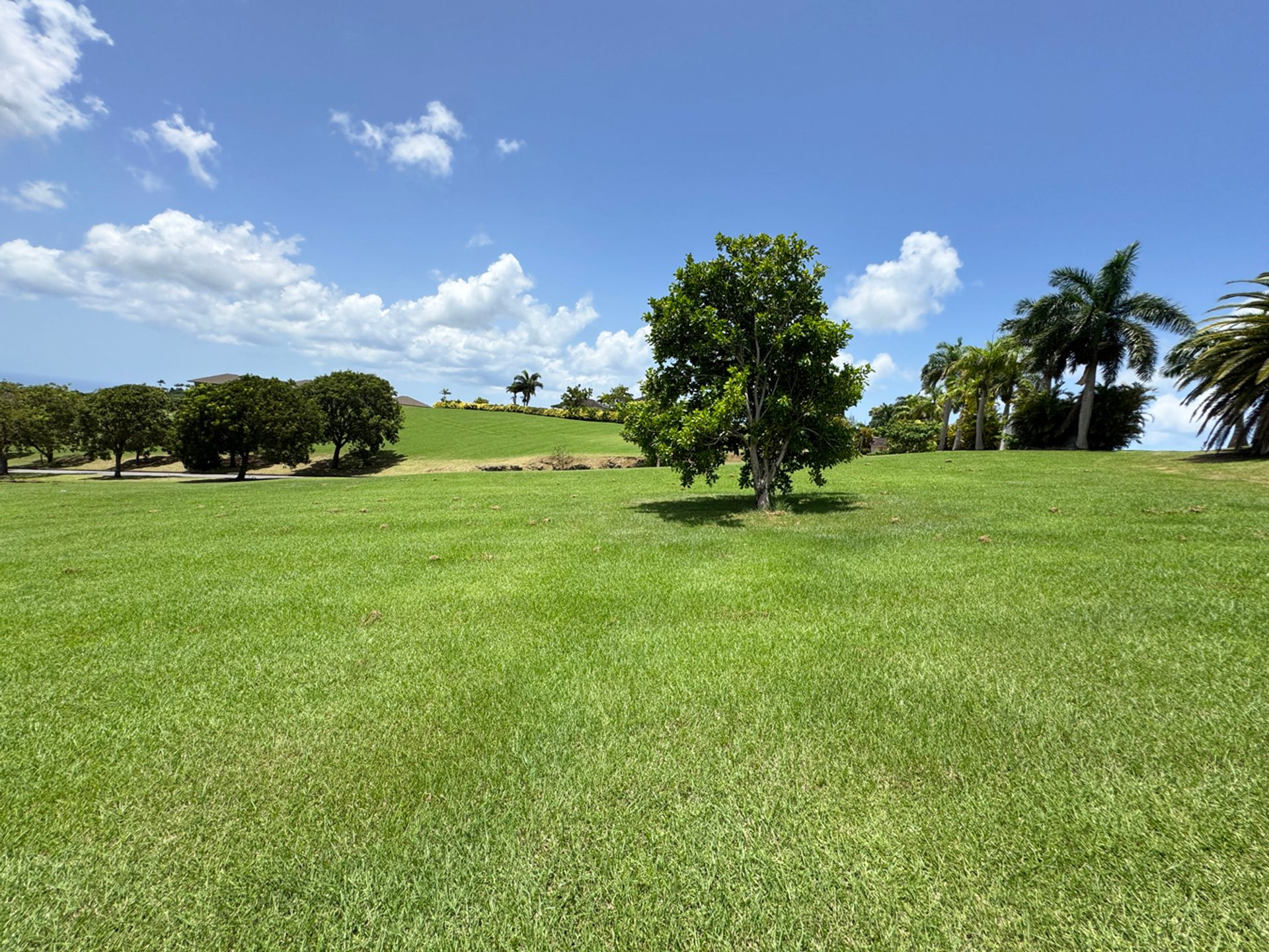 Lion Castle Polo Estate Lot 3A