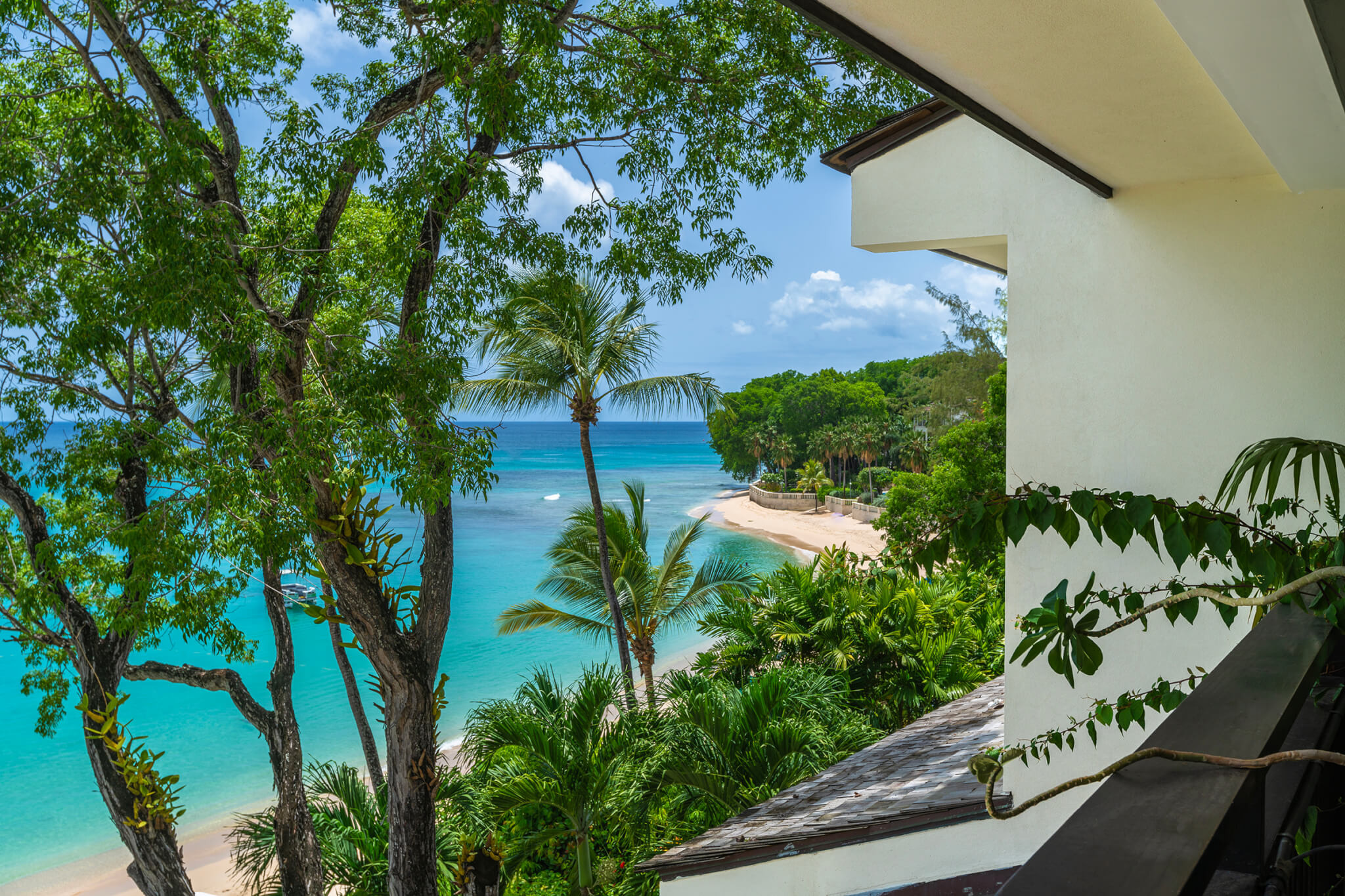 Coral Cove 10