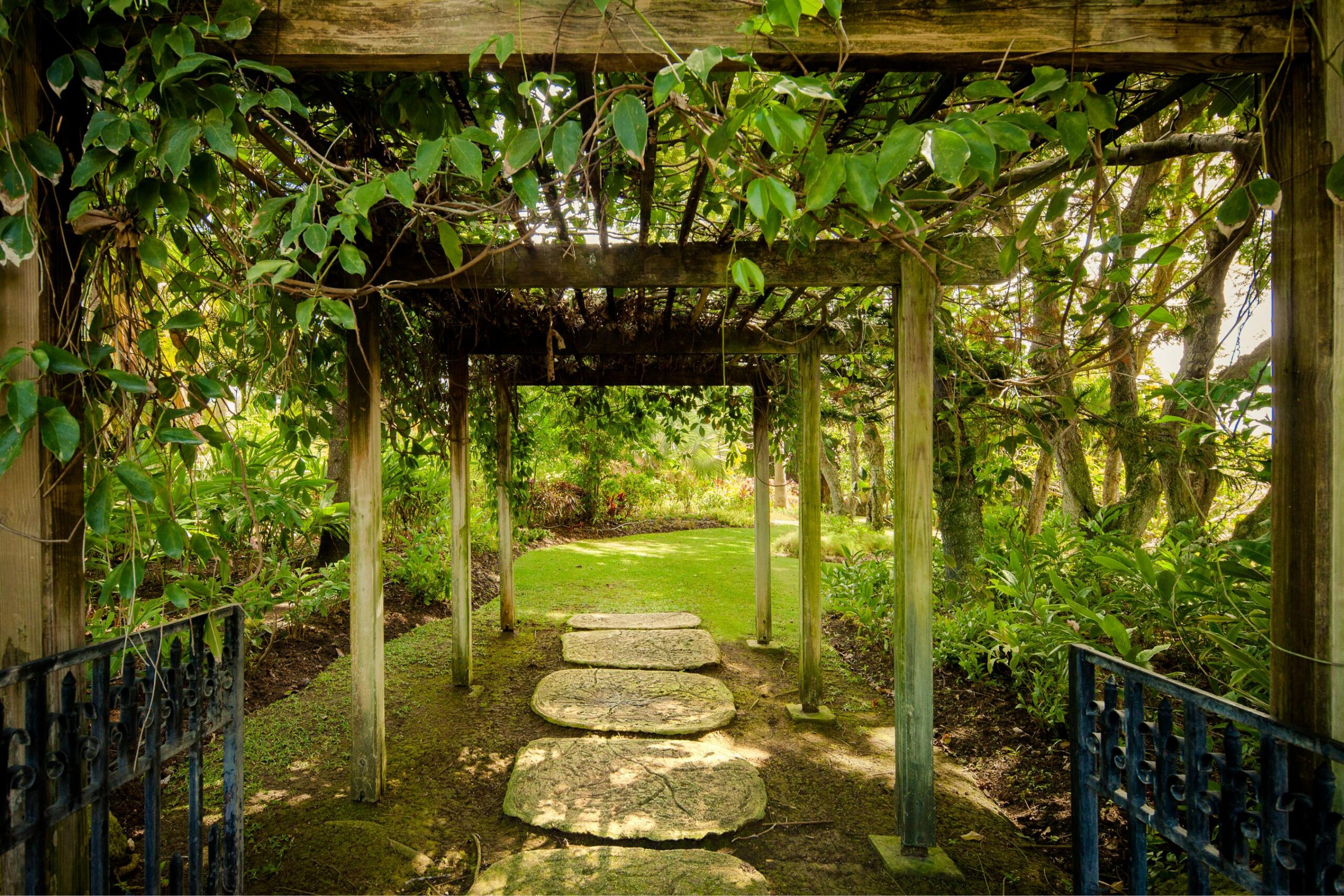 Mullins Mill (47)
